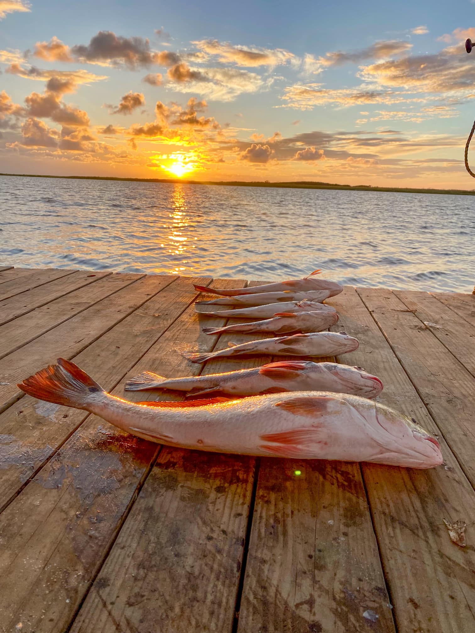 Fish Pic 20 from Baffin Cabins